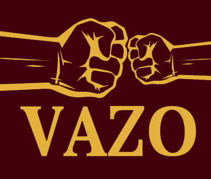 VAZO Handelsonderneming - logo